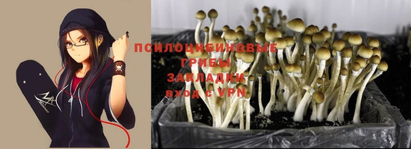 кокаин колумбия Бронницы