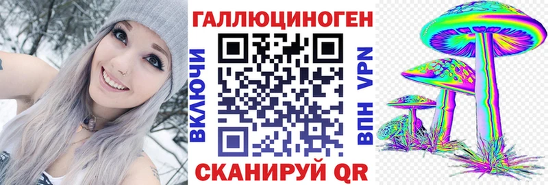купить закладку  Обнинск  Псилоцибиновые грибы Psilocybe 